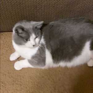 Meet your Posher, Conner